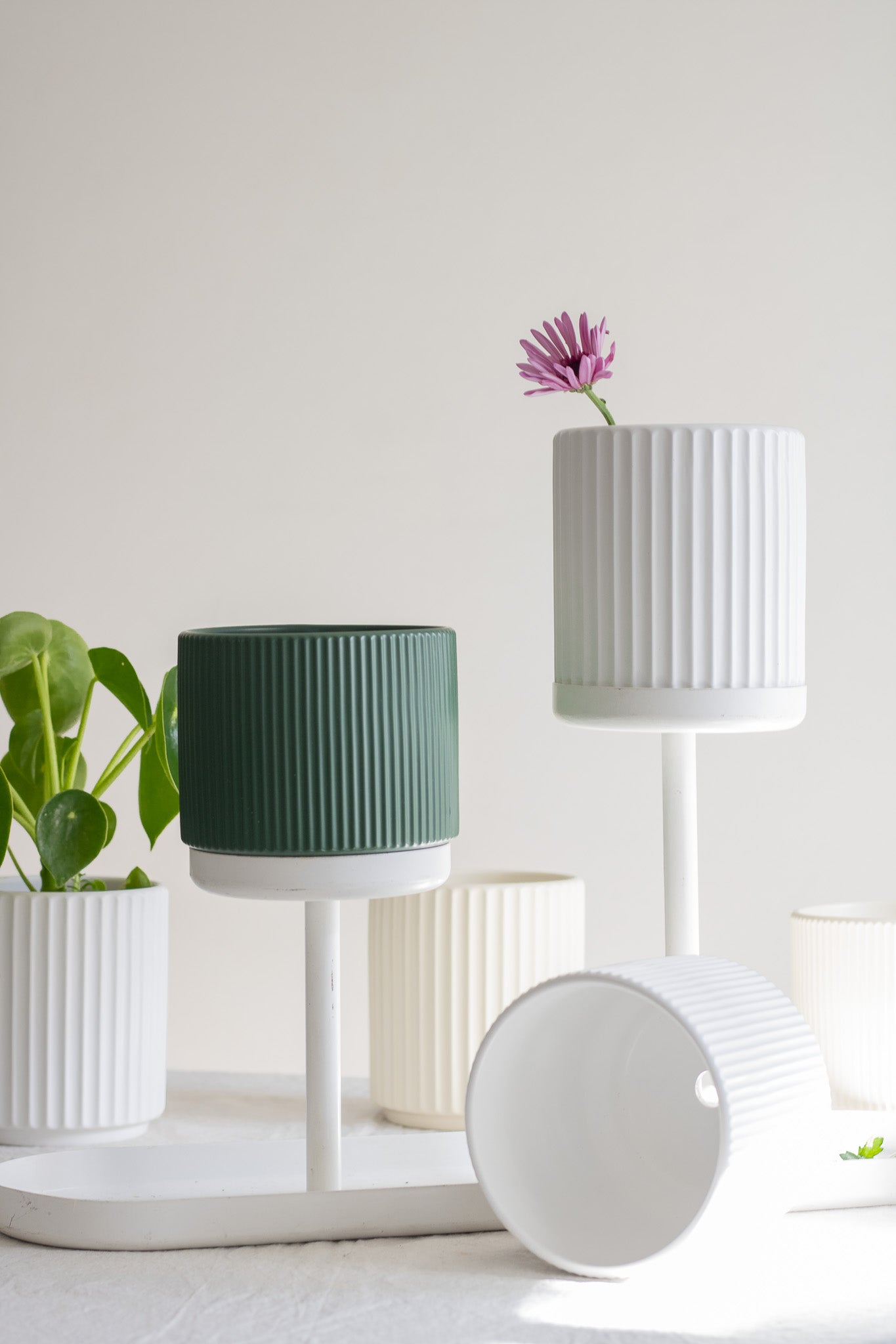 Maceta cerámica romana