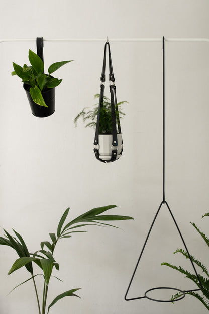 Pothus en porta maceta colgante